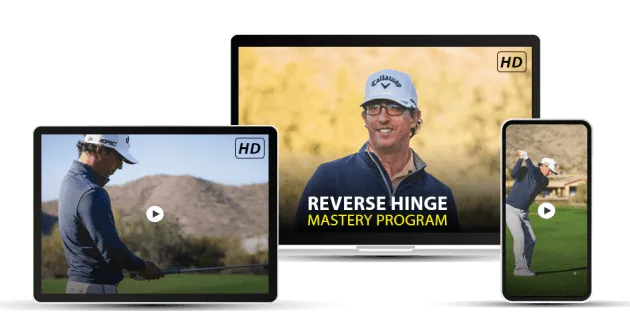 Reverse Hinge Technique